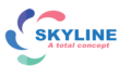 Skyline Solutions