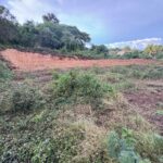 viber image 2026 01 09 09 24 28 511