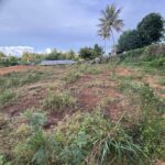 viber image 2026 01 09 09 24 29 178