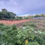 viber image 2026 01 09 09 24 29 870